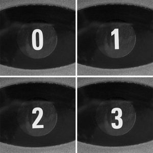 ΣΟΜΠΑ ΕΞΩΤΕΡΙΚΟΥ ΧΩΡΟΥ QUARTZ 2000W ΜΑΥΡΗ IR 2000S TROTEC - 170012