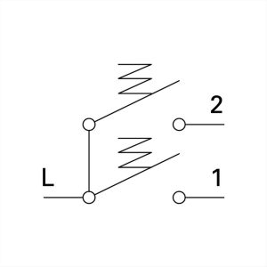 ΜΠΟΥΤΟΝ ΡΟΛΛΩΝ 10A PW NT 09 TEM EKONOMIK - 15314