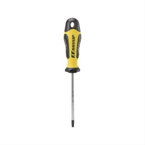 ΚΑΤΣΑΒΙΔΙ TORX Τ15*100mm FF GROUP - 32891