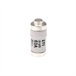ΦΥΣΙΓΓΙΟ NEOZED 63A D02 ETI - 2212005