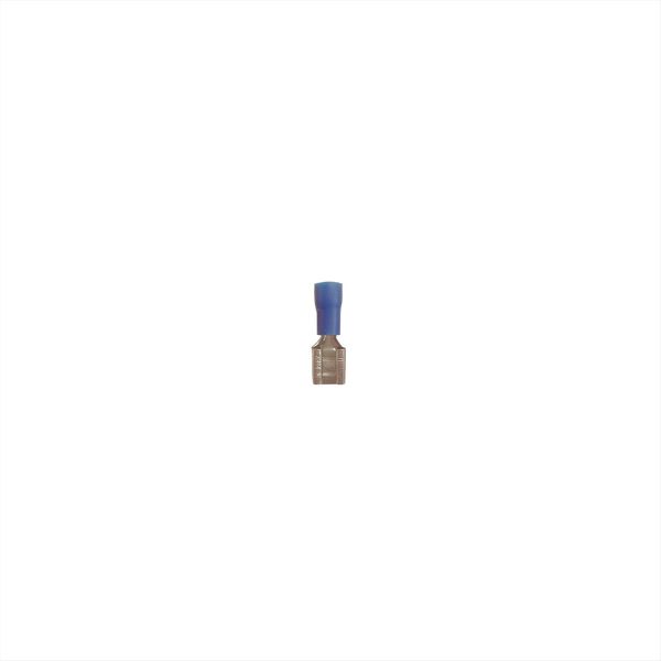 ΑΚΡΟΔΕΚΤΗΣ ΜΟΝΩΜΕΝΟΣ FASTON ΘΗΛΥΚΟΣ ΜΠΛΕ 6.35mm ADELEQ - 12-521425