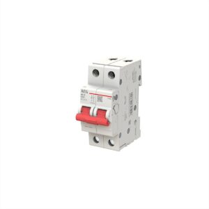 ΔΙΑΚΟΠΤΗΣ ΡΑΓΑΣ ESD 2*40A AEG - ESD2040